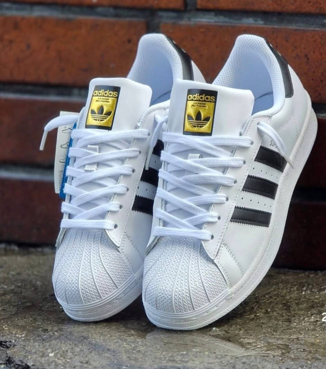 ADIDAS "Superstar" —-> 24€ ✨